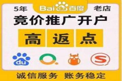 SEM营销推广实战案例：揭秘成功之道